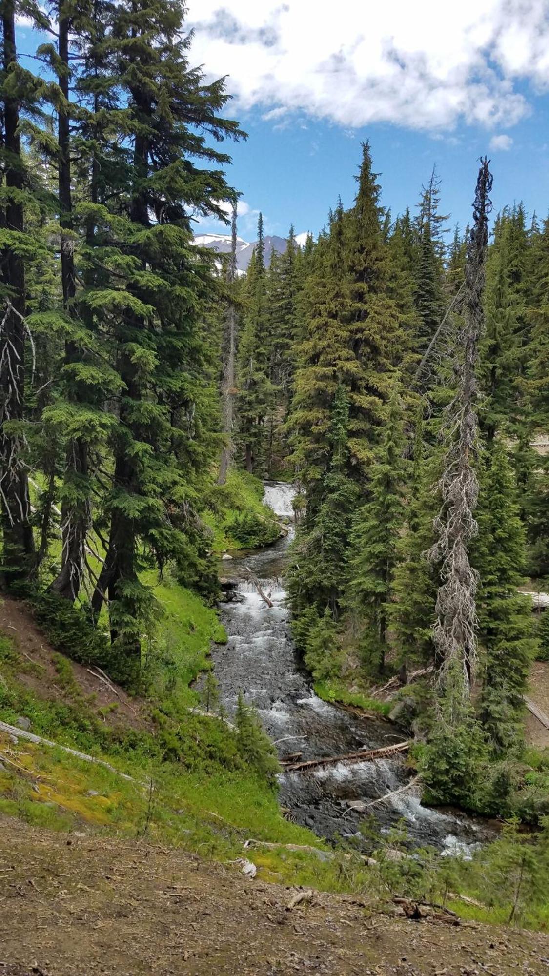 Mt. Bachelor & Sun River Get Away Bend Bagian luar foto